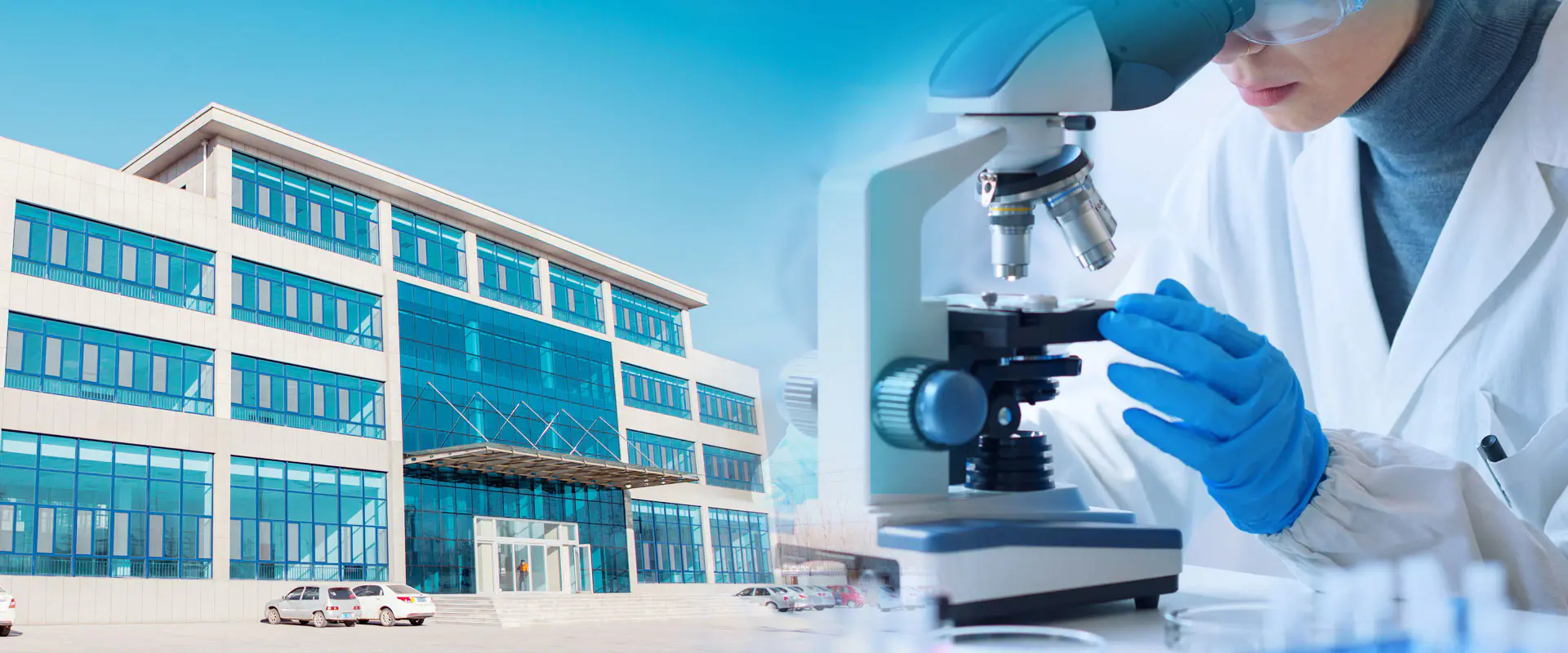 Tagagawa ng Zinc Borate