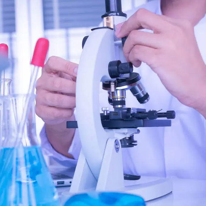 Ang proseso ng produksiyon ng zinc borate